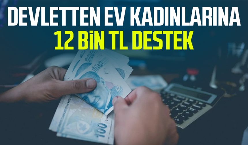 Devletten ev kadınlarına 12 bin TL destek