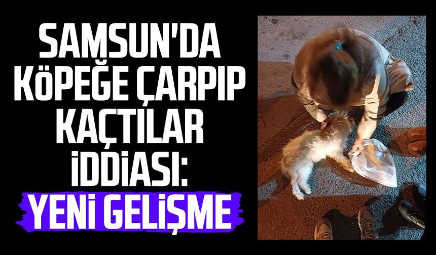 Samsun'da köpeğe çarpıp kaçtılar iddiası: Yeni gelişme