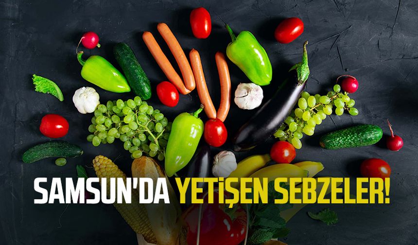 Samsun'da yetişen sebzeler!