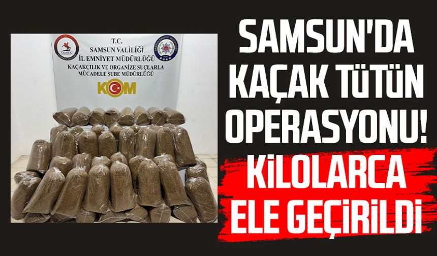 Samsun'da kaçak tütün operasyonu! Kilolarca ele geçirildi