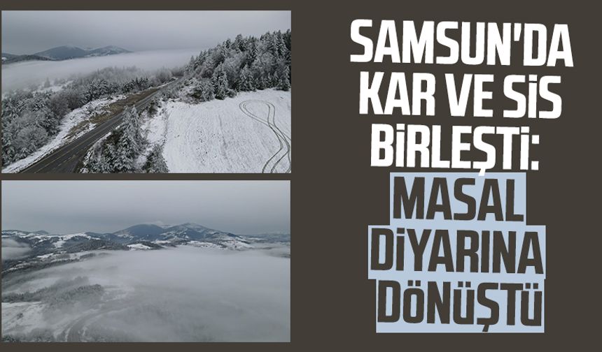 Samsun'da kar ve sis birleşti: Masal diyarına dönüştü