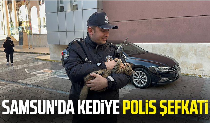 Samsun'da kediye polis şefkati