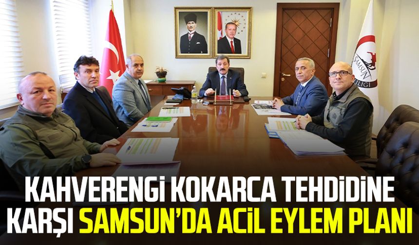Kahverengi Kokarca tehdidine karşı Samsun’da acil eylem planı