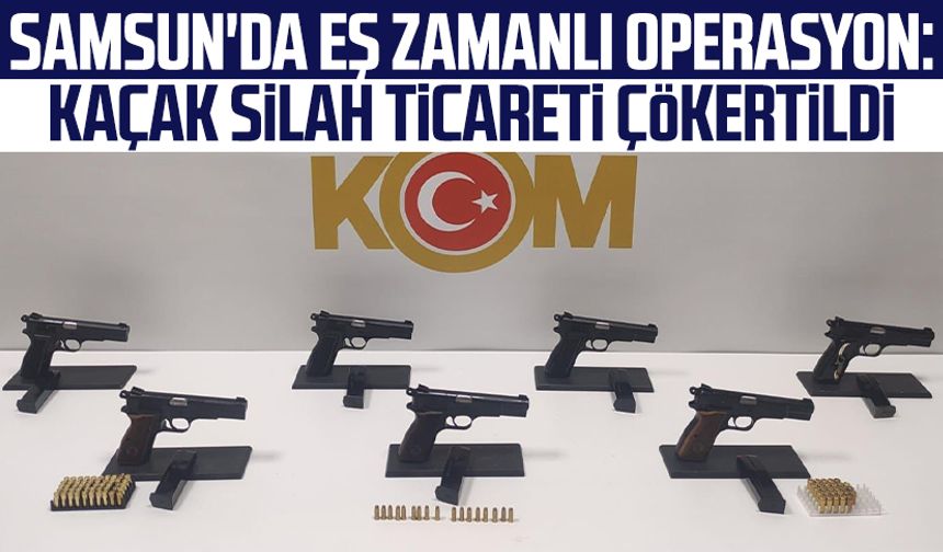 Samsun'da eş zamanlı operasyon: Kaçak silah ticareti çökertildi
