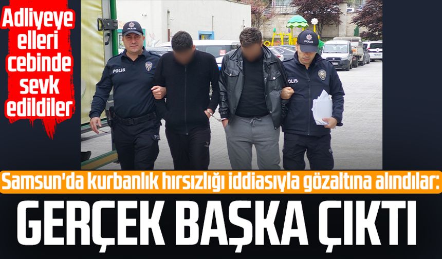 Samsun'da kurbanlık hırsızlığı iddiasında gerçek başka çıktı