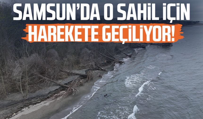 Samsun'da Gölyazı sahili için harekete geçildi!