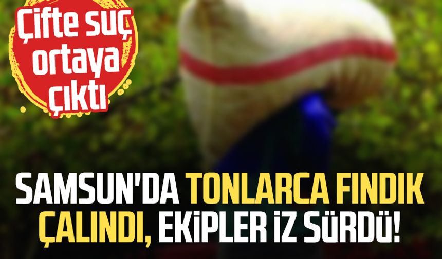 Samsun'da tonlarca fındık gitti, ekipler iz sürdü!