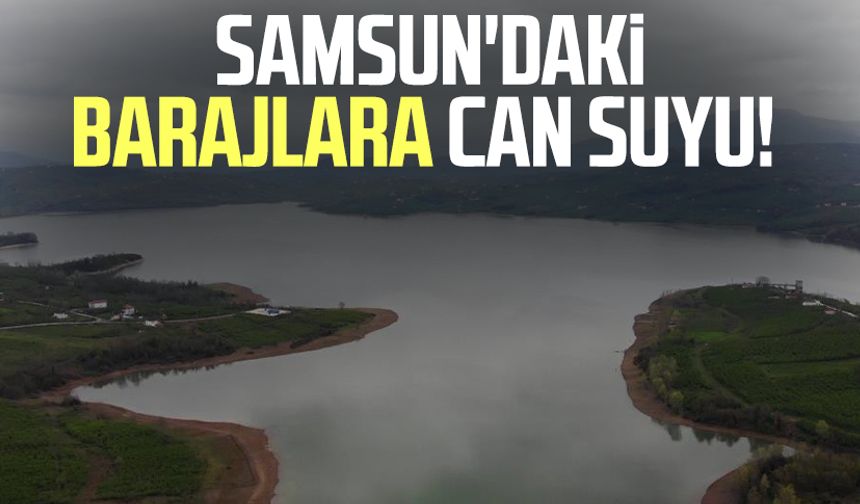 Samsun'daki barajlara can suyu!