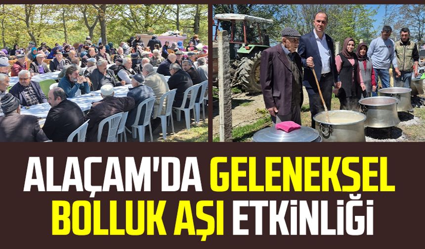 Alaçam'da geleneksel bolluk aşı etkinliği