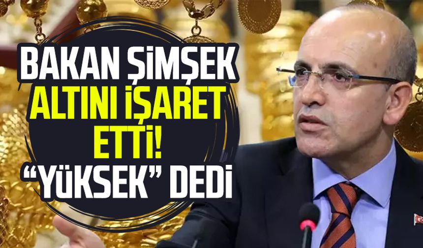 Bakan Şimşek altını işaret etti! "Yüksek" dedi