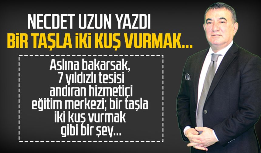 Necdet Uzun yazdı: Bir taşla iki kuş vurmak...