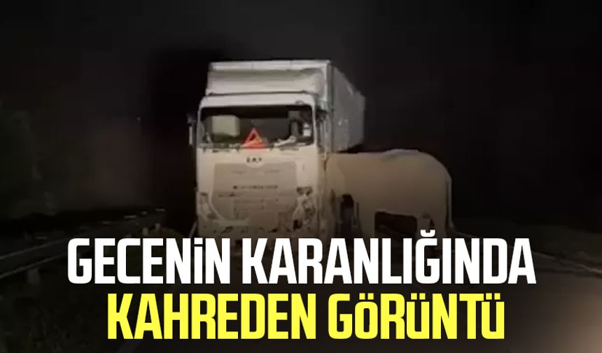 Gecenin karanlığında kahreden görüntü
