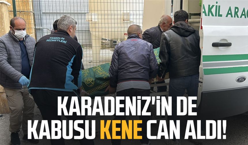 Karadeniz'in de kabusu kene can aldı!