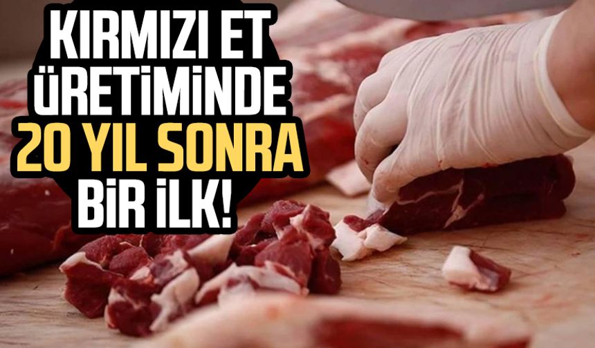 Kırmızı et üretiminde 20 yıl sonra bir ilk!