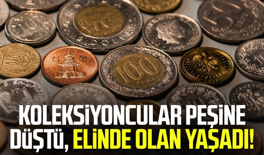 Koleksiyoncular peşine düştü, elinde olan yaşadı!