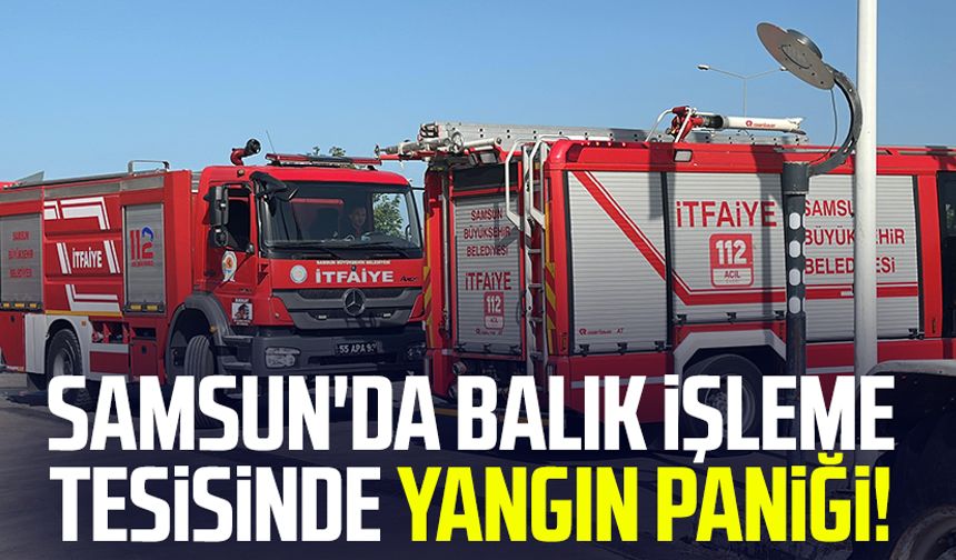 Samsun'da balık işleme tesisinde yangın paniği!