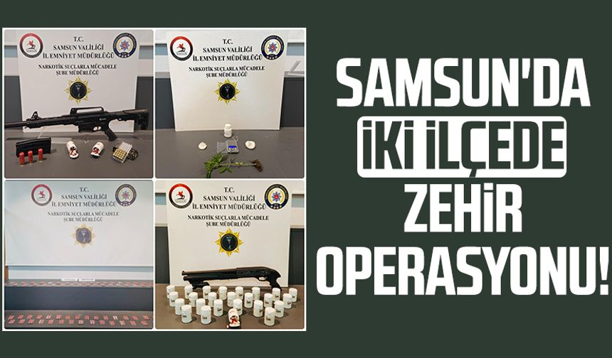Samsun'da iki ilçede operasyon! Zehre geçit yok