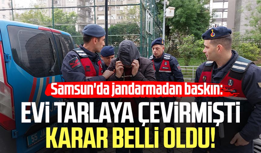 Samsun'da jandarmadan baskın: Evi tarlaya çevirmişti karar belli oldu