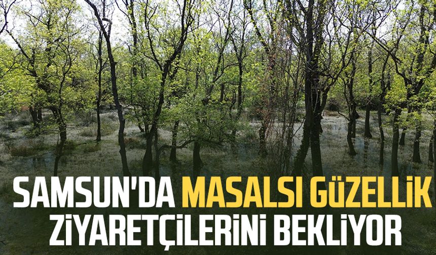Samsun'da masalsı güzellik ziyaretçilerini bekliyor