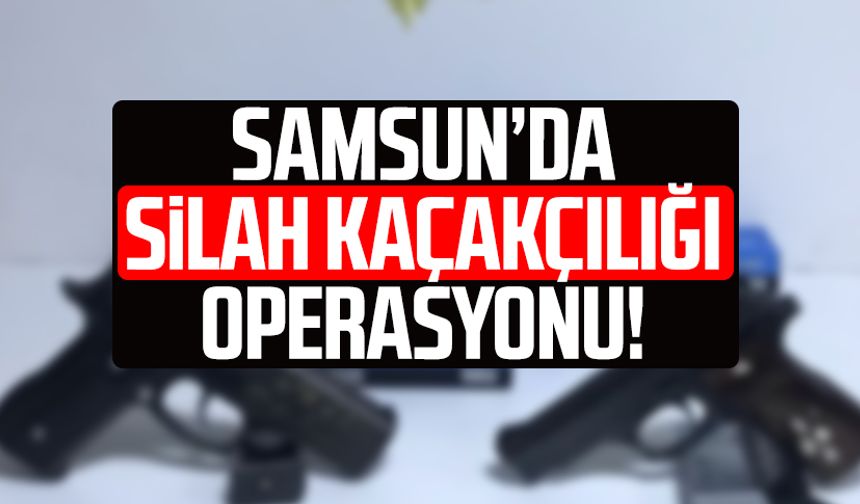 Samsun Havza'da silah kaçakçılığı operasyonu!