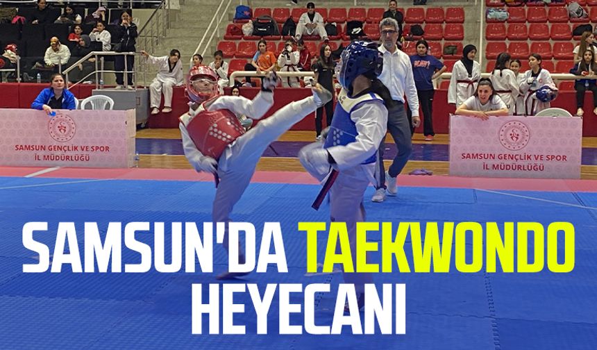 Samsun'da taekwondo heyecanı