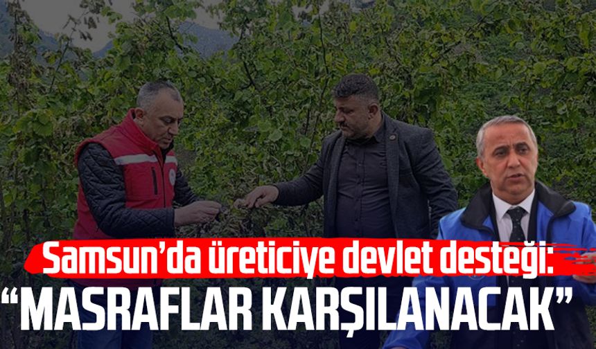 Samsun'da üreticiye devlet desteği: Masraflar karşılanacak