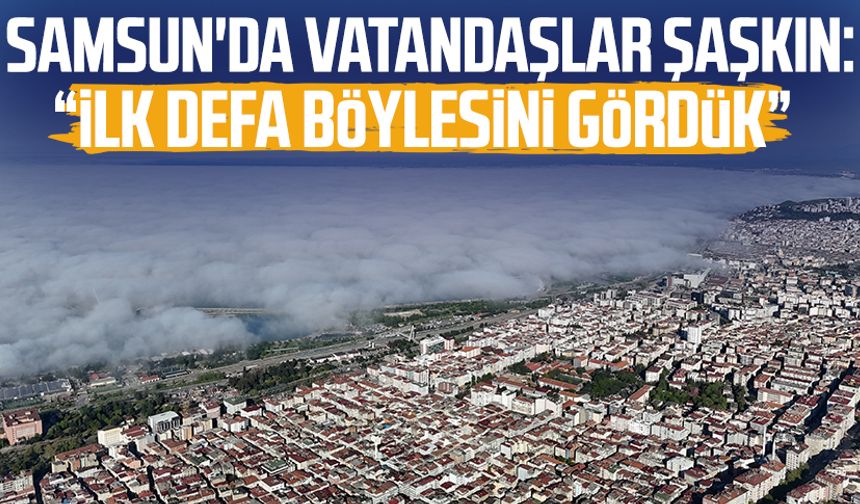 Samsun'da vatandaşlar şaşkın: "İlk defa böylesini gördük"