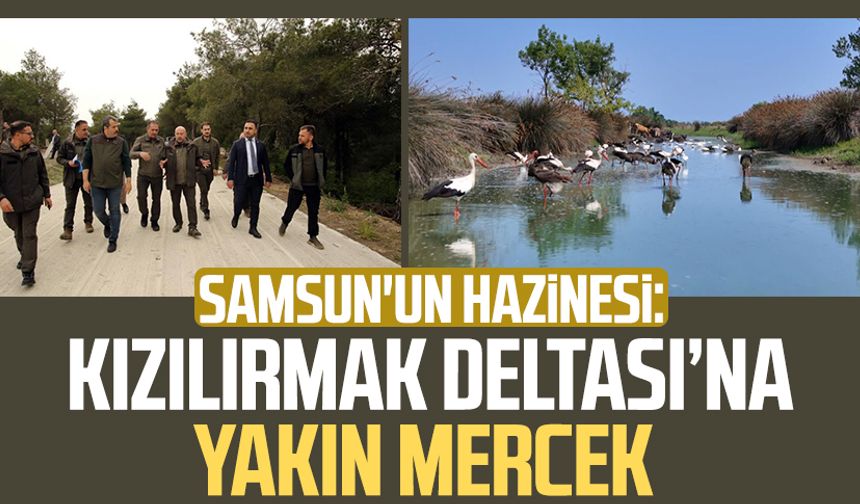 Samsun'un hazinesi: Kızılırmak Deltası’na yakın mercek