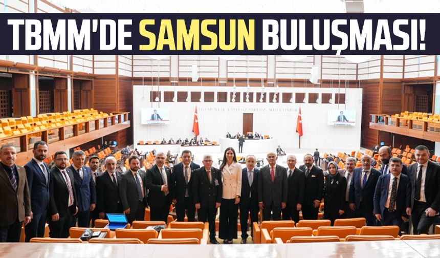 TBMM'de Samsun buluşması!