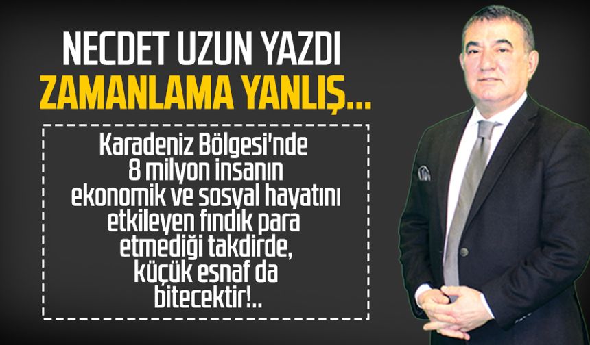 Necdet Uzun yazdı: Zamanlama yanlış...
