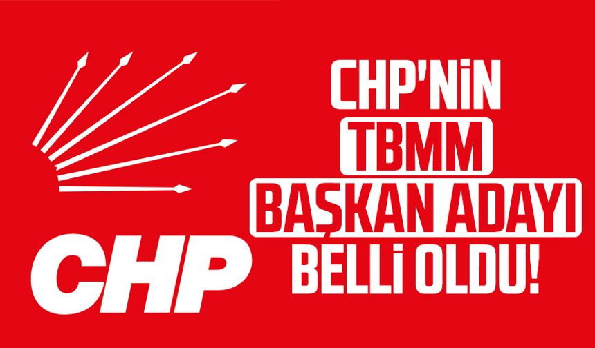 CHP'nin TBMM Başkan adayı belli oldu!