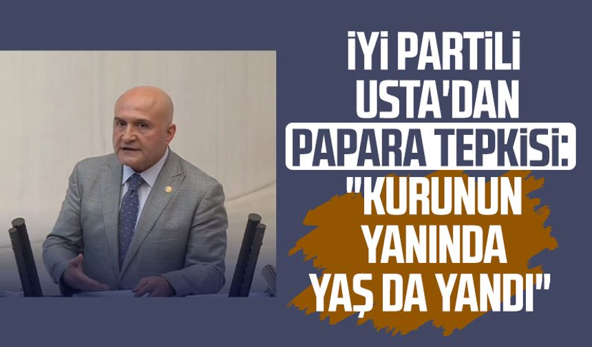 İYİ Partili Erhan Usta'dan Papara tepkisi: "Kurunun yanında yaş da yandı"