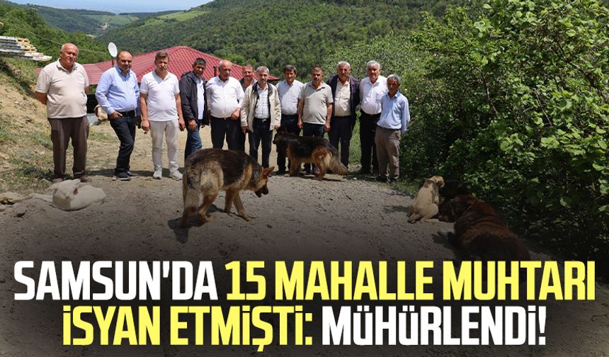 Samsun'da 15 mahalle muhtarı isyan etmişti: Mühürlendi!