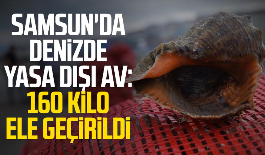 Samsun'da denizde yasa dışı av: 160 kilo ele geçirildi