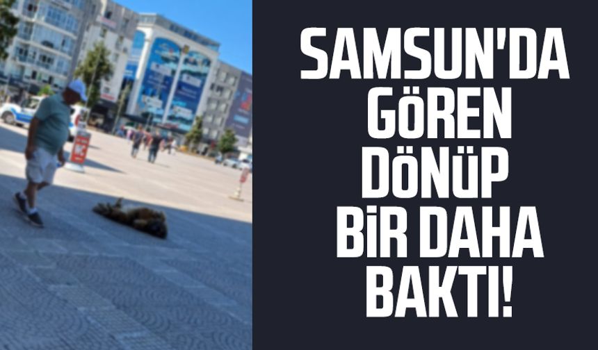 Samsun'da gören dönüp bir daha baktı!