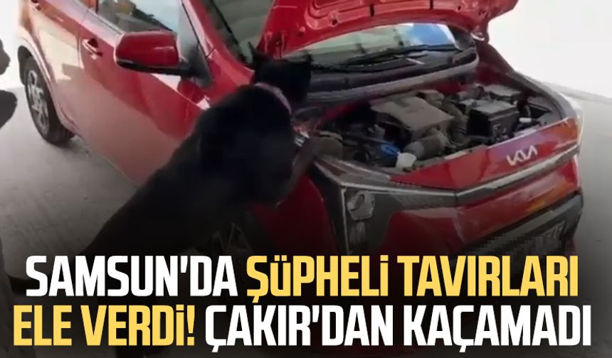 Samsun'da şüpheli tavırları ele verdi: Çakır'dan kaçamadı