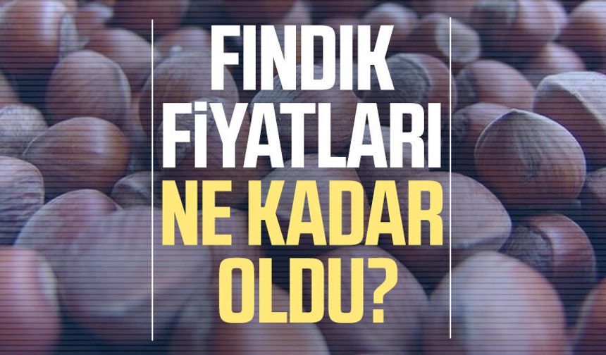Fındıkta hareketlilik sürüyor! Samsun’da fiyatlar ne kadar oldu?