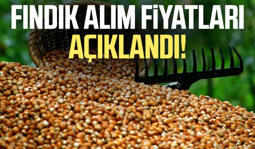 2025 fındık alım fiyatları açıklandı!