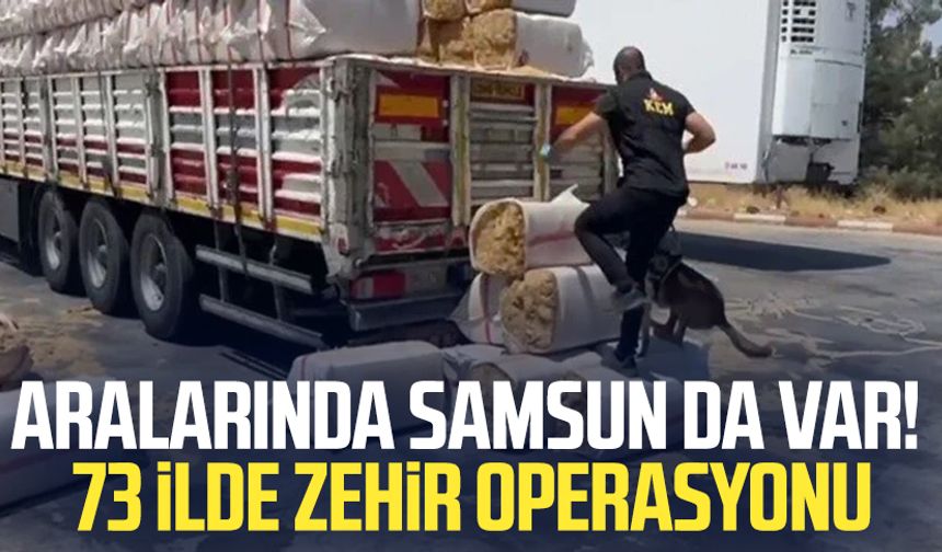 Aralarında Samsun da var! 73 ilde zehir operasyonu