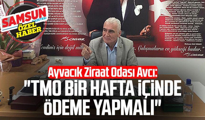 Ayvacık Ziraat Odası Başkanı Erdal Avcı: "TMO bir hafta içinde ödeme yapmalı"