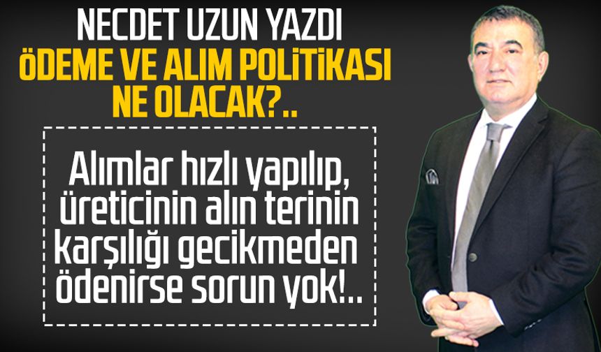 Necdet Uzun yazdı: Ödeme ve alım politikası ne olacak?..