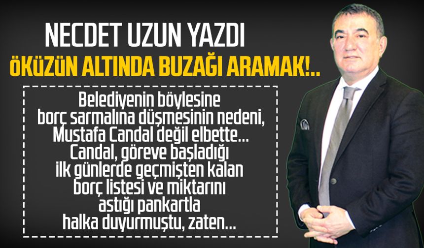 Necdet Uzun yazdı: Öküzün altında buzağı aramak!..