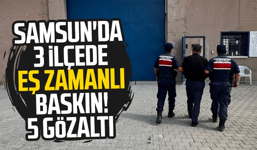Samsun'da 3 ilçede eş zamanlı baskın! 5 gözaltı