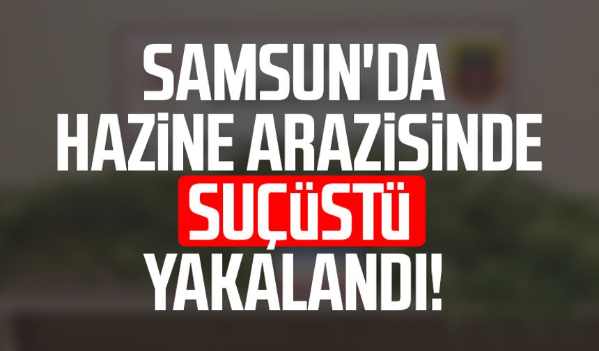 Samsun'da hazine arazisinde suçüstü yakalandı!
