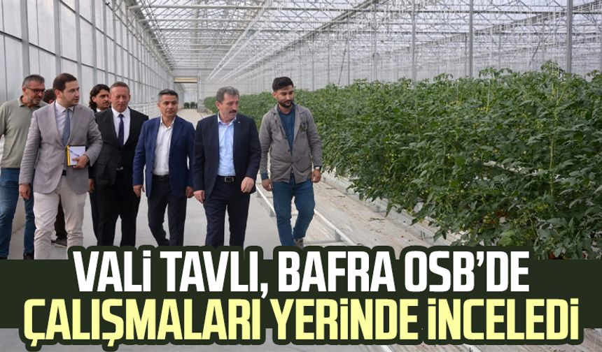 Vali Orhan Tavlı, Bafra OSB’de çalışmaları yerinde inceledi