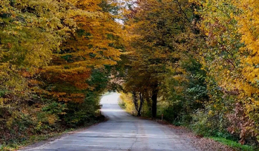 Samsun'da sonbahar rotaları: Doğanın renk cümbüşüne yolculuk