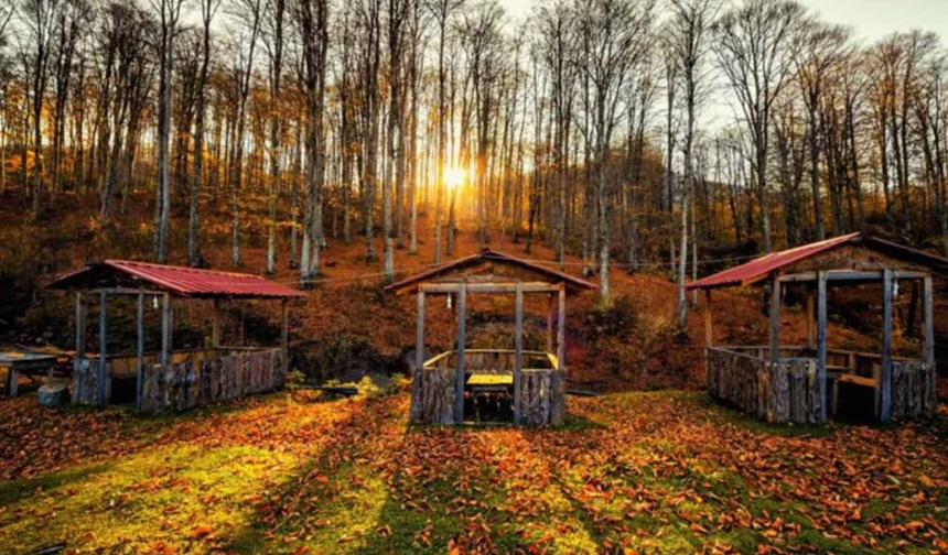 Her Samsun İlçesinin En Güzel Mevsimi