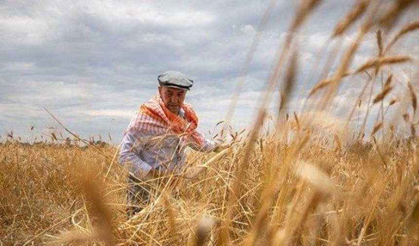 19 Mayıs’ta Tarım, Balıkçılık ve Kırsal Yaşamın Birlikteliği