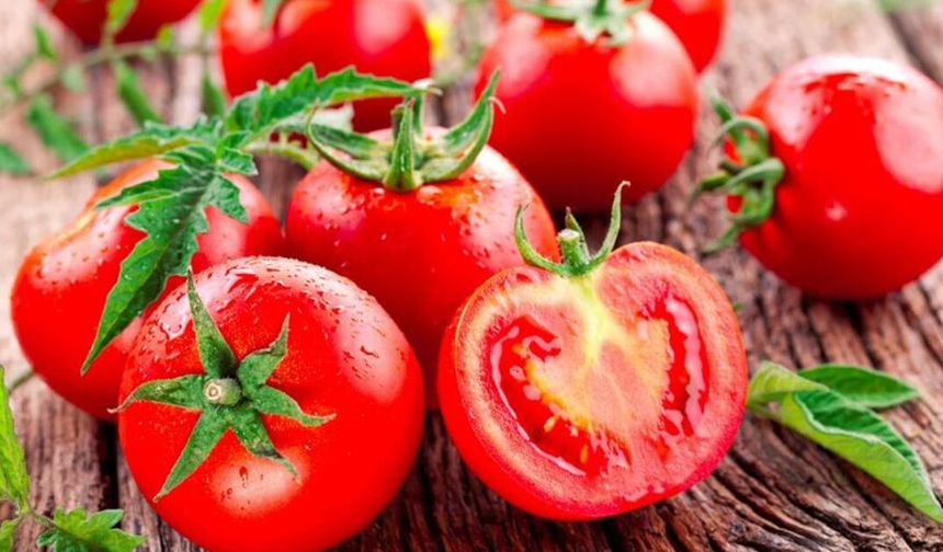 Bafra Ovası’nda Üretilen Sebzeler ve Samsun Mutfağındaki Önemi