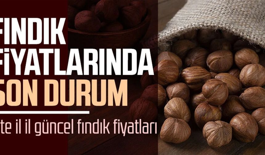 Fındık fiyatları ne kadar oldu? İşte 31 Ekim Cuma il il fındık fiyatları